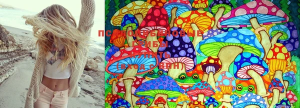 ешки Бронницы
