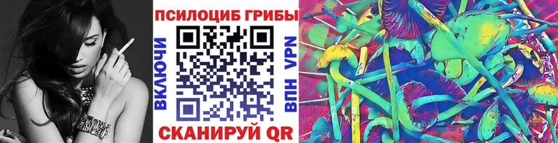 Галлюциногенные грибы Psilocybe  Свободный 